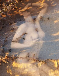 Nude on Sand, 2019