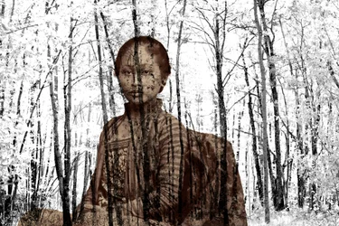 Portrait Among the Branches