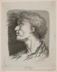 Portrait of a Man with Flowing Hair