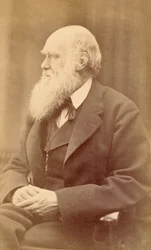 Portrait of Charles Darwin at Age 72, c.1871