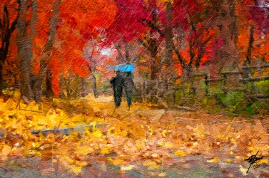 Autumn Umbrella Walk