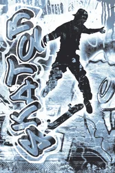 Graffiti Skateboard Action