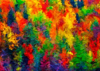 Joyful Color Explosion