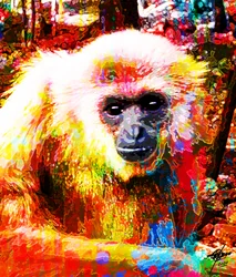 Vibrant Gibbon Portrait