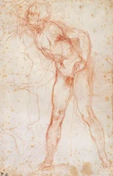 Study of a male nude turned to the left