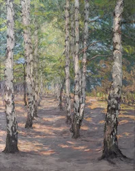 Birch Path on the Heller Near Dresden