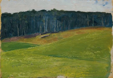 Light Green Meadow Against Dark Forest Edge