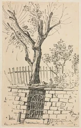 Tree on Top of a Stone Wall, Cleveland