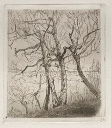 Woods by the Lake, 1878