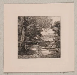 Willow Trees by a Stream