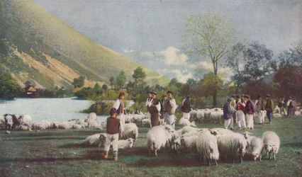 Bosnia