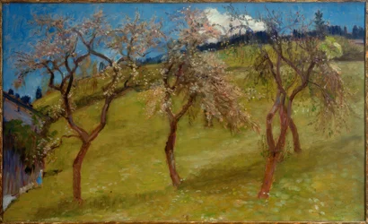 Spring