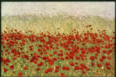 Poppies and Corn