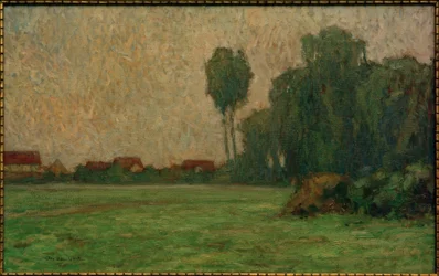 Fog on the Meadow