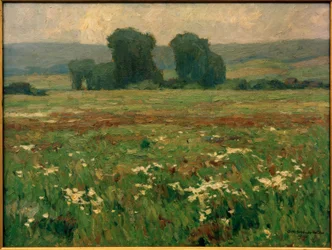 Poplars in Blooming Meadow