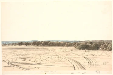 From the Hermitage Plain