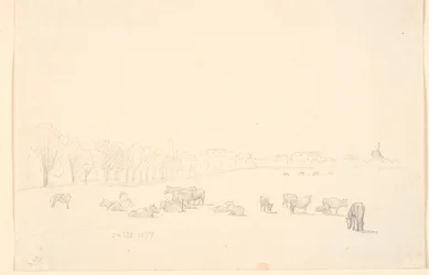 Cows on the Common, with Tagens Mill in the Background