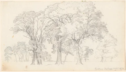 Scene from Knabstrub Deer Park