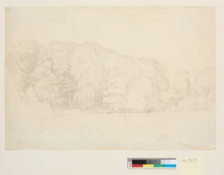 Forest Lake with Large Beeches in the Background