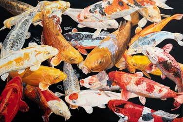 Colorful Koi Pond