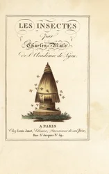 Title page with calligraphic title and vignette of beehive with bees