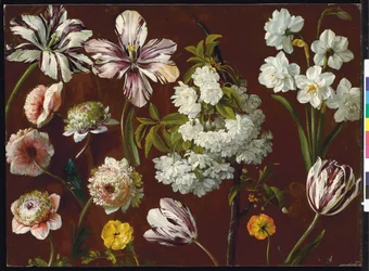Purple tulips, white flowering prunus, narcissus and pink chrysanthemum