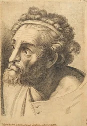 Head of a Bearded Man, from 42 Studies of Heads after Raphael