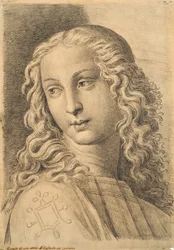 Head of a woman, from 42 Studies of Heads after Raphael