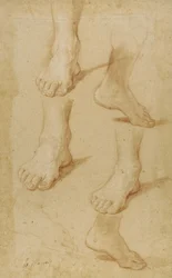 Drawing