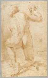 Drawing