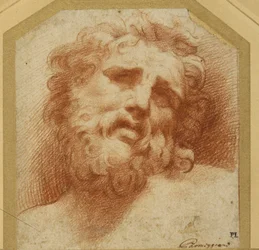 A bearded head, looking up (possibly Laocoon)