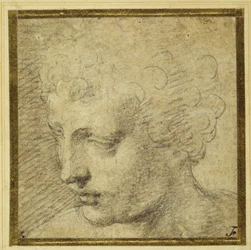 Head of a boy, nearly in profile to the left