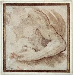 Study of the Left Arm, Chest and Head of a Bearded Man