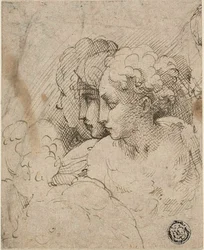 Female Heads