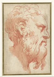 Head of an Old Man, in Profile to the Right