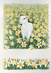 A Spring in the Step