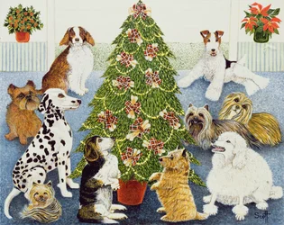 Anticipation
