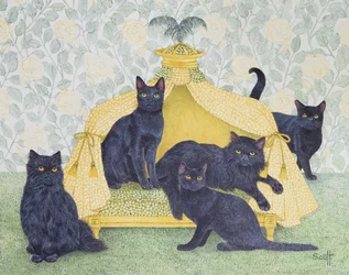 Black Velvet