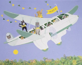 Cat Air Show