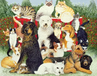 Christmas Peace