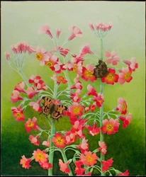 In the Pink, 2011