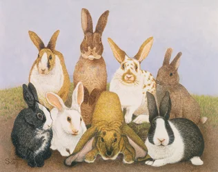 Lucky Rabbits