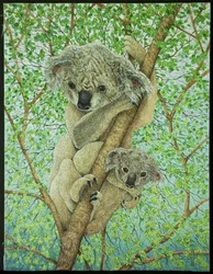 Top of the Tree