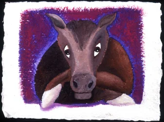 Chinese Horoscope: The Sign of the Horse
