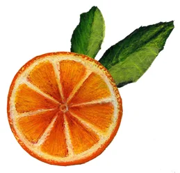 Fruit