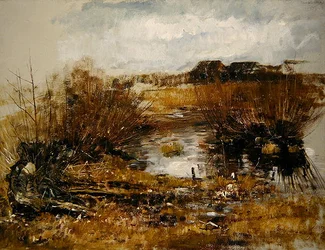 Waterhole with Willow Shrubs
