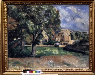 Trees in a Park. Jas de Bouffan