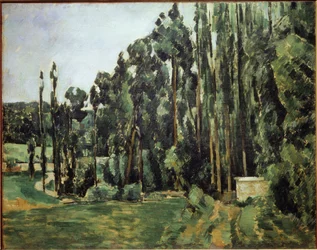 Poplars