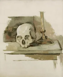 Skull