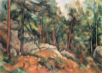 Interior of a Forest